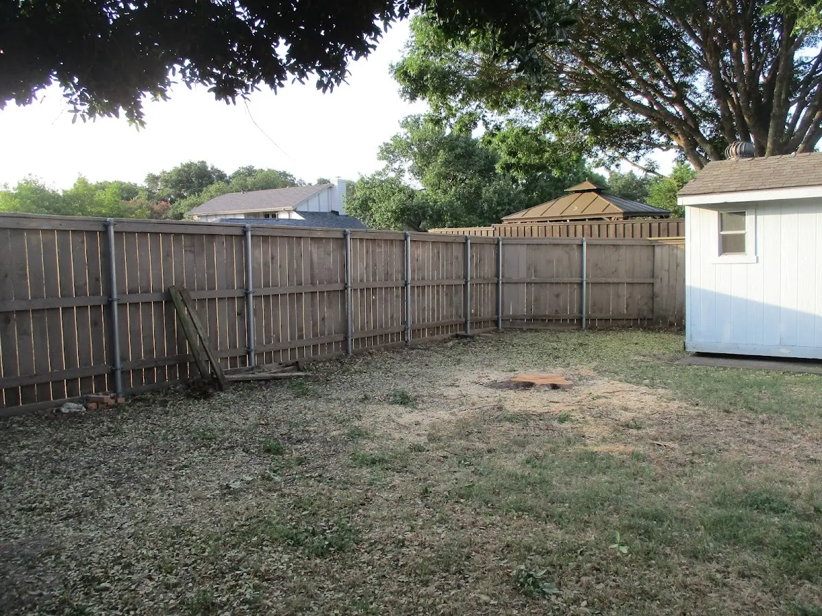 Cleared yard after professional tree removal in Keswick